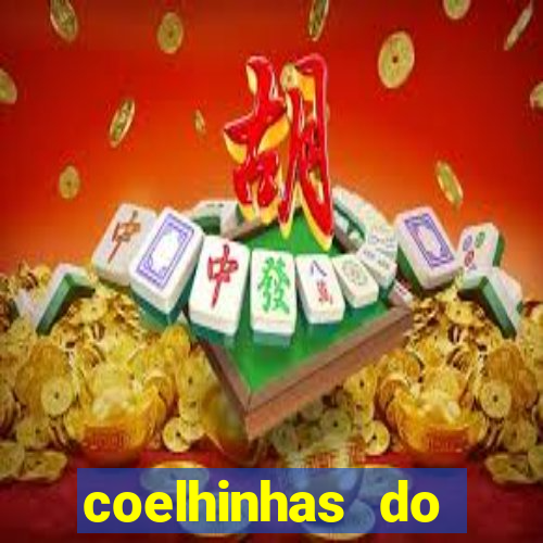 coelhinhas do brasil jp